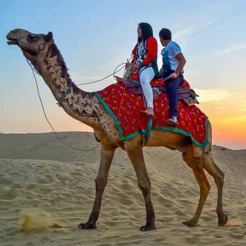 Camel Safari Jaisalmer